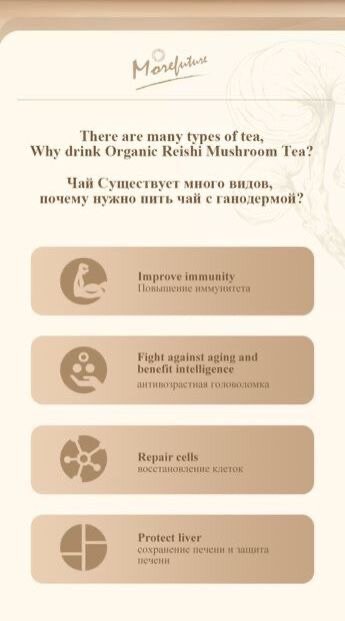 MOREFUTURE Organic Reishi Mushroom Tea