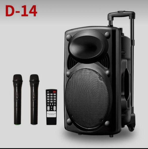 Enceinte Portable Karaoke