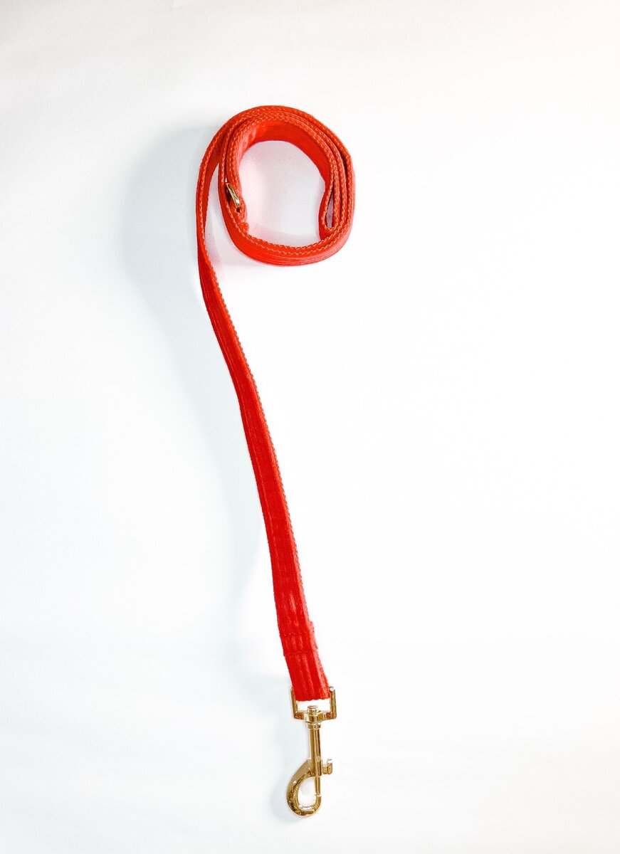 Harness Walk Set for dogs  (Bright Red)