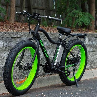 Vélo Électrique Fat Bike