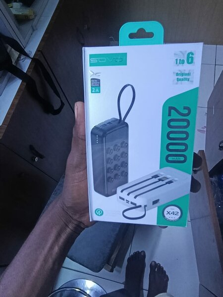 Batterie Externe PU20 20000mAh