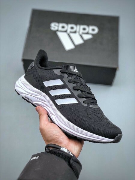 Chaussure adidas homme
