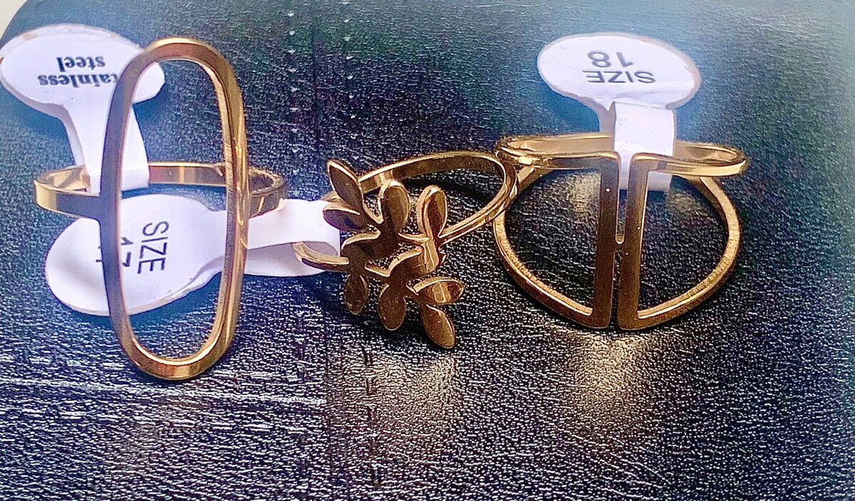 Bagues en acier inoxydable