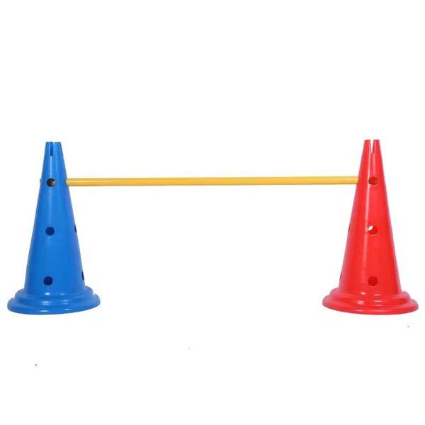 Cônes d'entraînement colorés