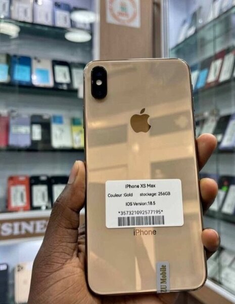 iPhone XS Max 256Go Or Reconditionné