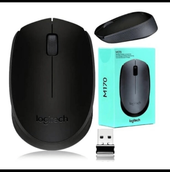 Souris Logitech M170 Sans Fil