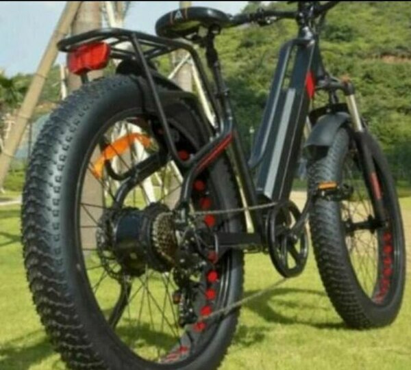 Vélo Électrique Tout-Terrain