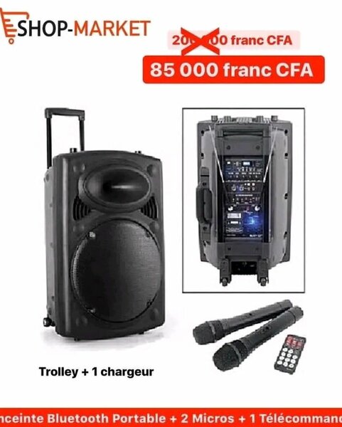 Enceinte Bluetooth Portable avec 2 Micros et Télécommande