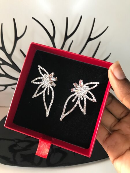 Statement earrings
