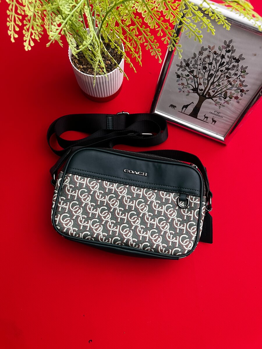 Sac bandoulière Coach chic