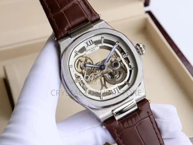 Montre Squelette Mécanique Luxe