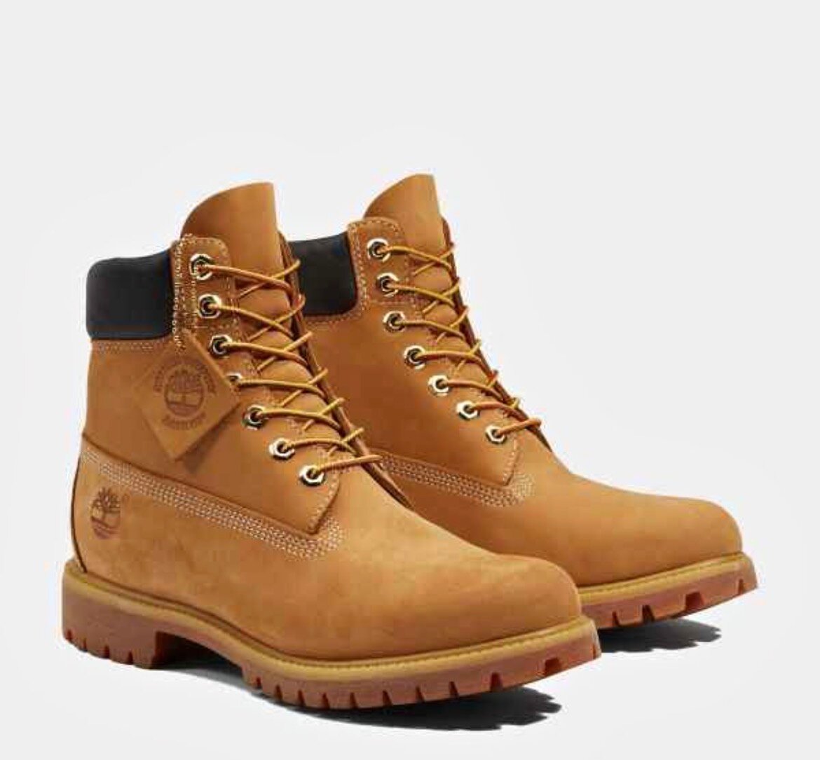 Bottes Timberland Homme