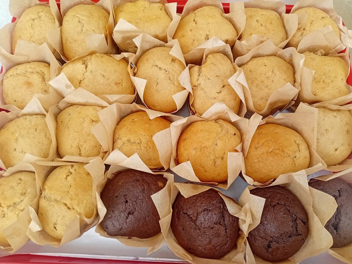 Muffins nature et chocolat