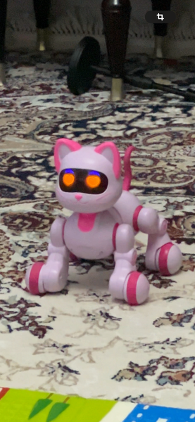 Этой игрушке обрадуется ваш ребенок !