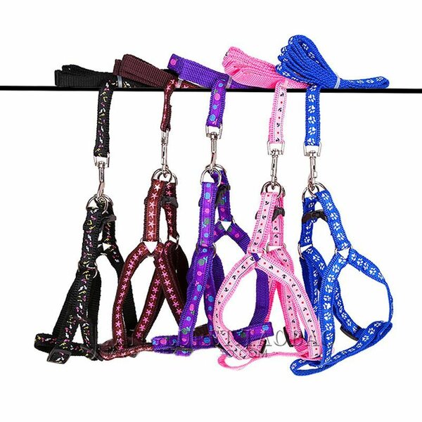 Harnais +laisse pour chio