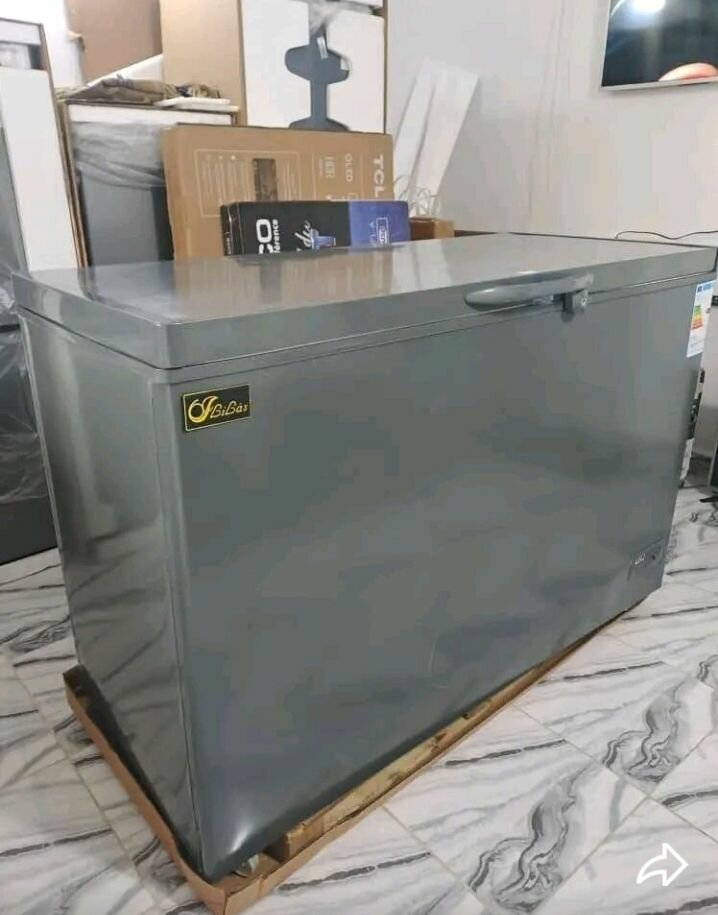 Congélateur Coffre Grande Capacité