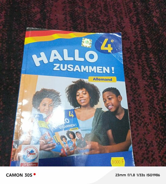 Manuels de Langues 4e