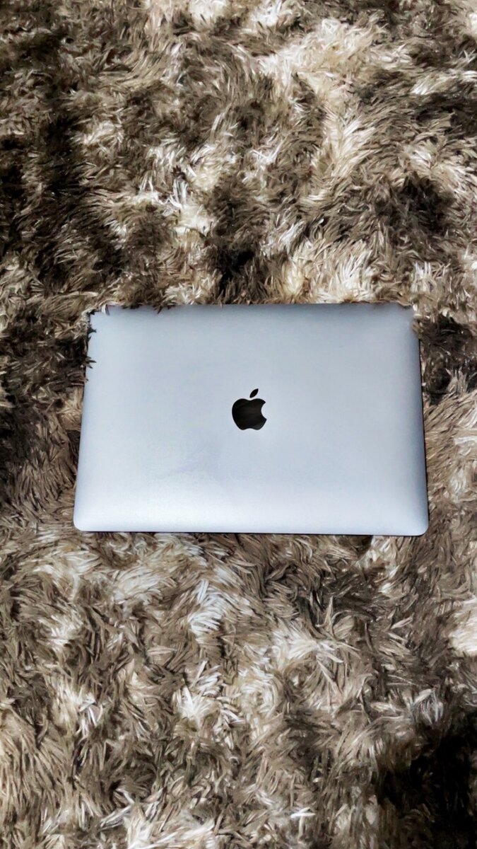 MacBook air 2020 Retina Argent