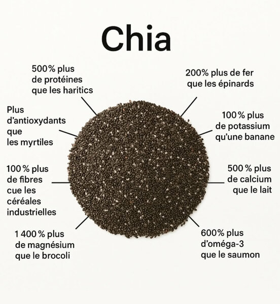 Graines de chia bio