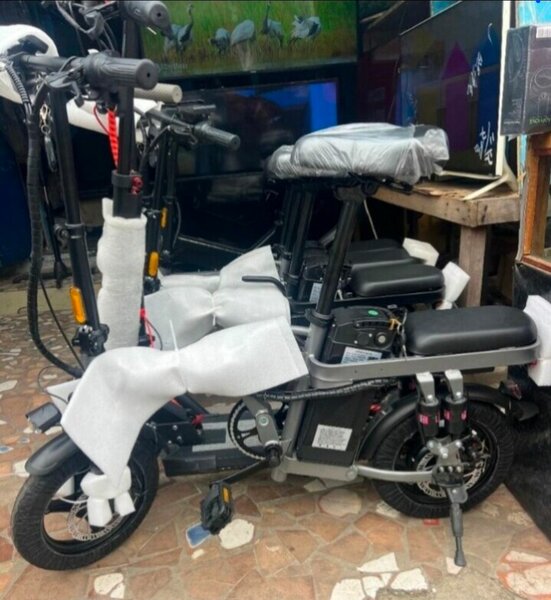 Vélo Électrique Pliable