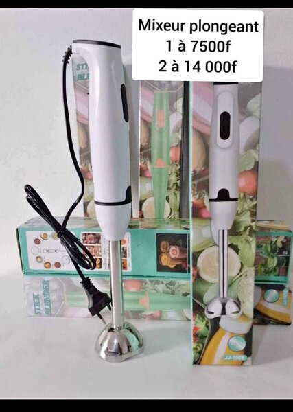 Mixeur plongeant