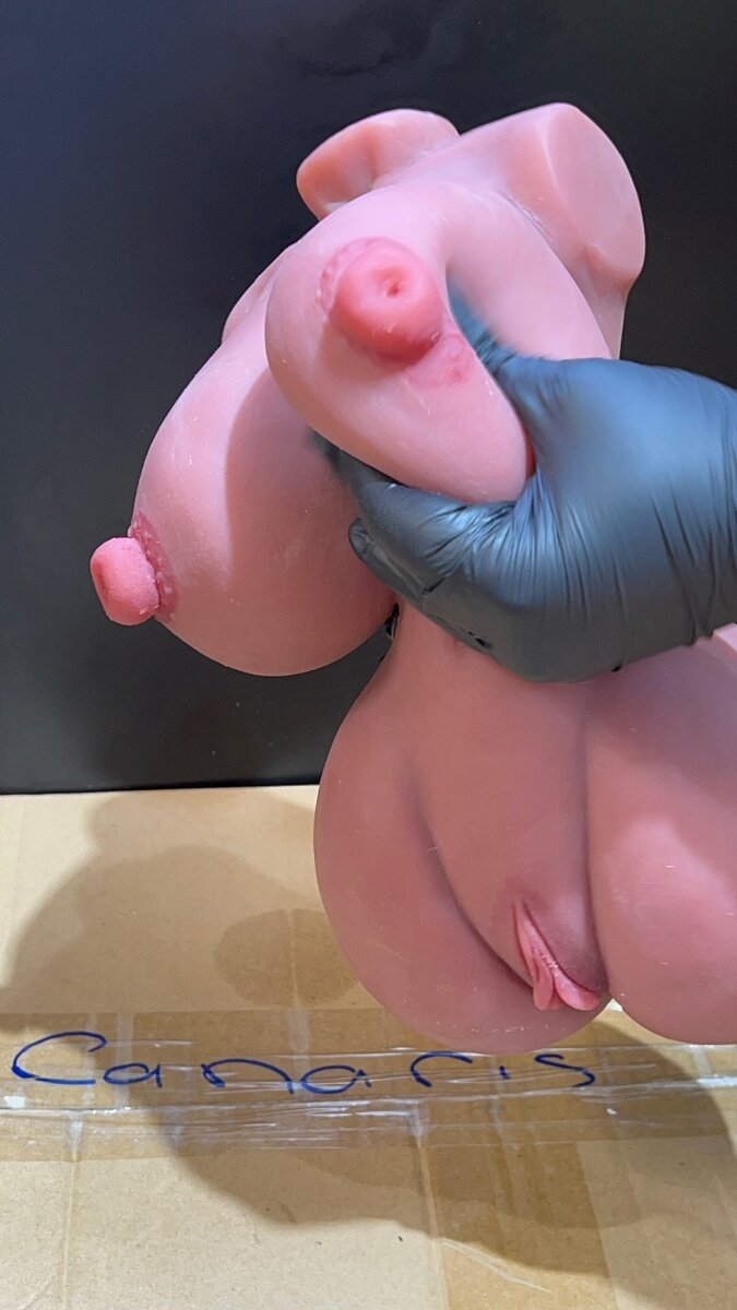 Torso en silicone réaliste