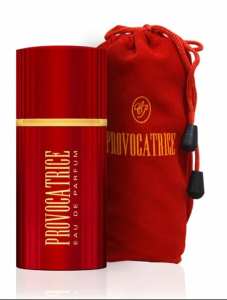 Provocateur - Provocatrice