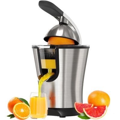 Electric juicer