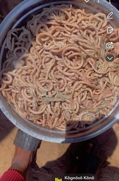 Calamars Frits Délicieux