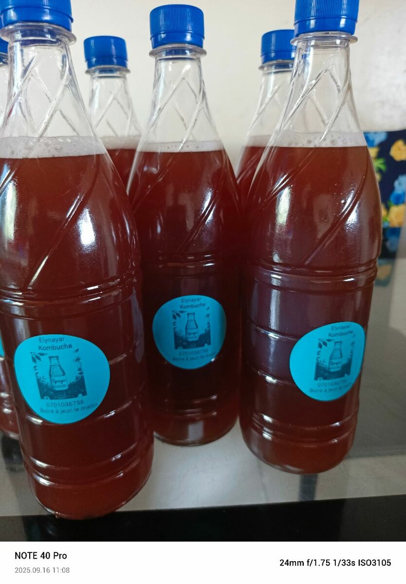 Boissons Naturelles Maison 1L