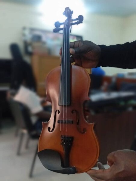 Violon haut de gamme