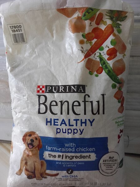Purina Beneful healthy puppy chow