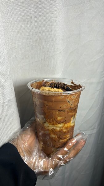 Fettucines de crepes