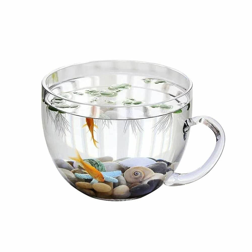 Élégant aquarium en verre