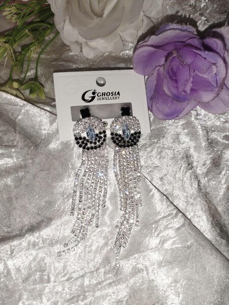 Shinny Tassel Earring Long Trendy Earring