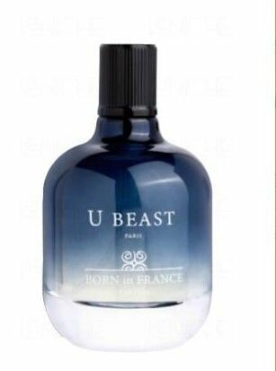 Parfum Homme U Beast