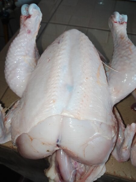 Poulet frais entier