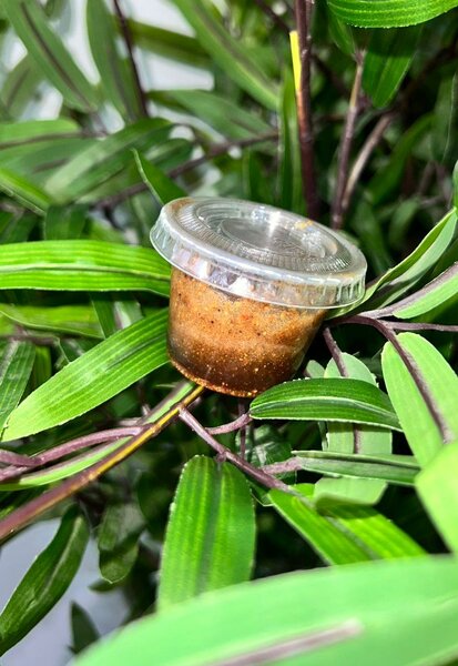 1 boîte de poutoulou Authentiq