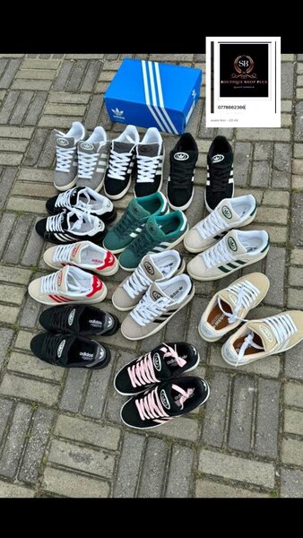 Basket adidas campus authentique avec sa boîte