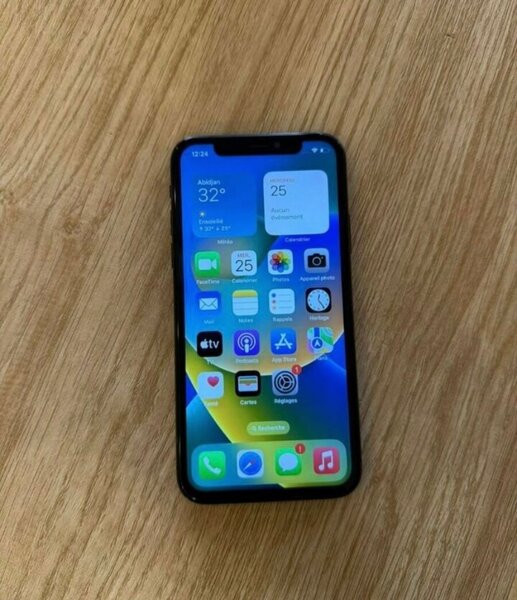 Apple iPhone X