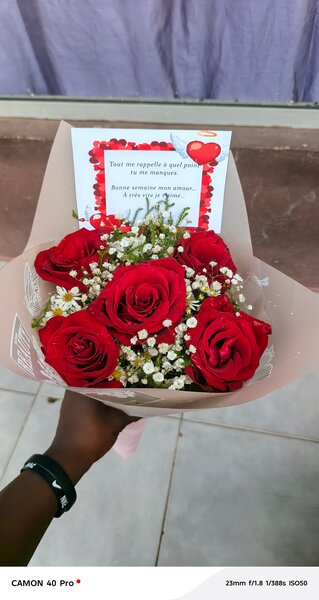 Bouquet de Roses Rouges Éclatantes