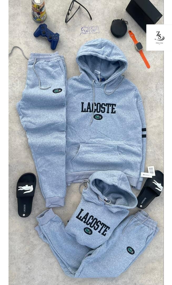 Sweat à capuche Lacoste
