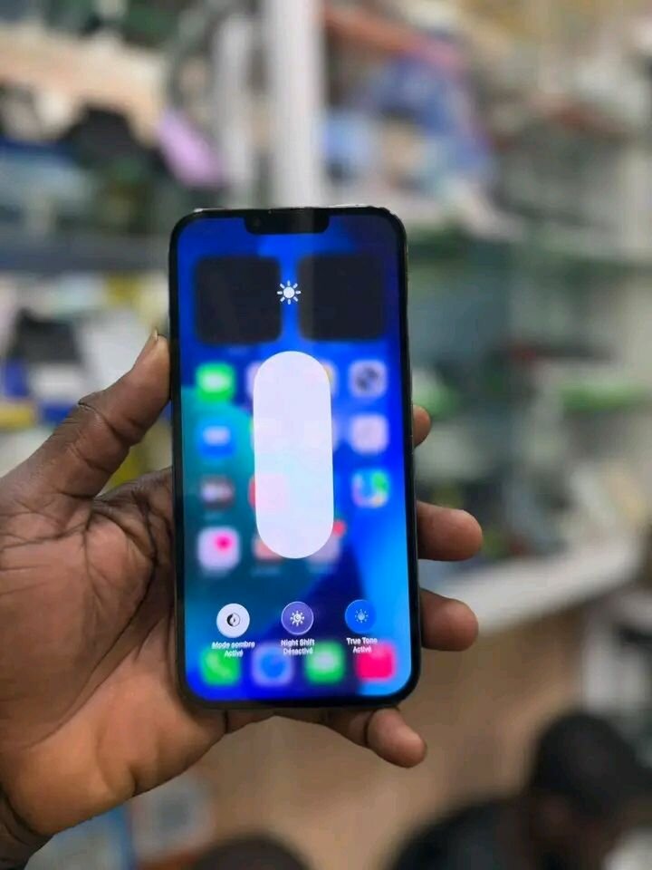 iPhone 15 Pro Max - Smartphone Reconditionné