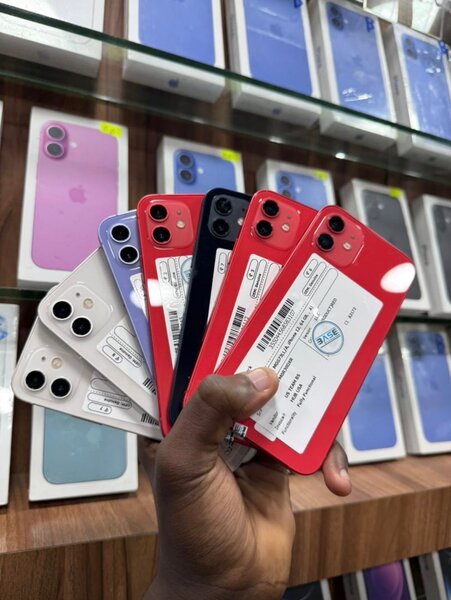 iPhone 12 Quasi neuf