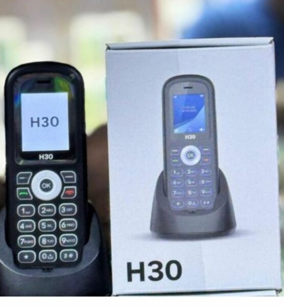 Téléphone Sans Fil H30