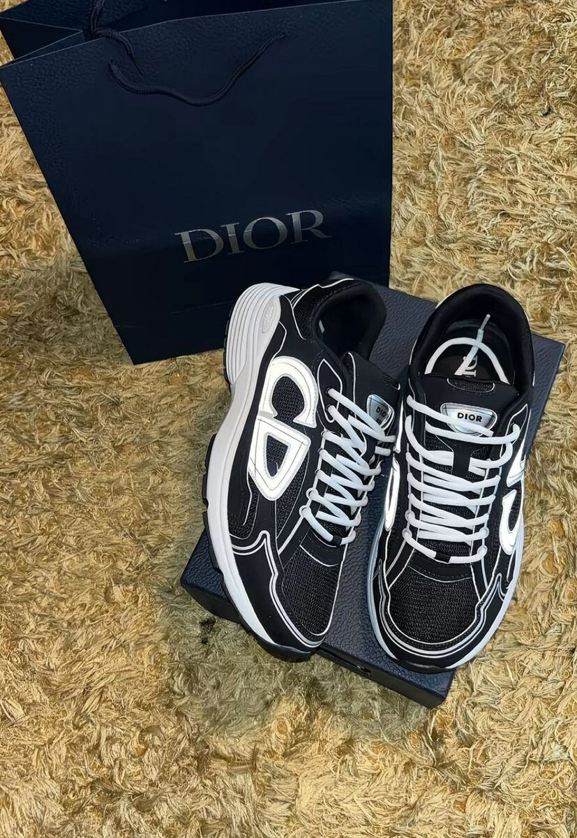 Sneakers Dior Homme élégants