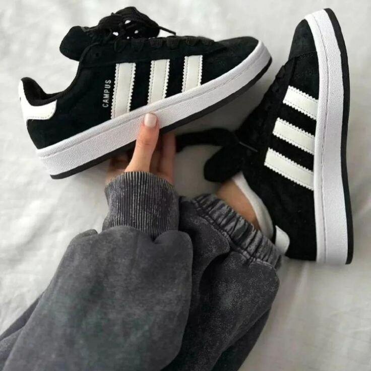 Adidas Campus Orignal