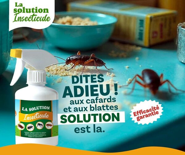 Pulvo Insecticide Puissant