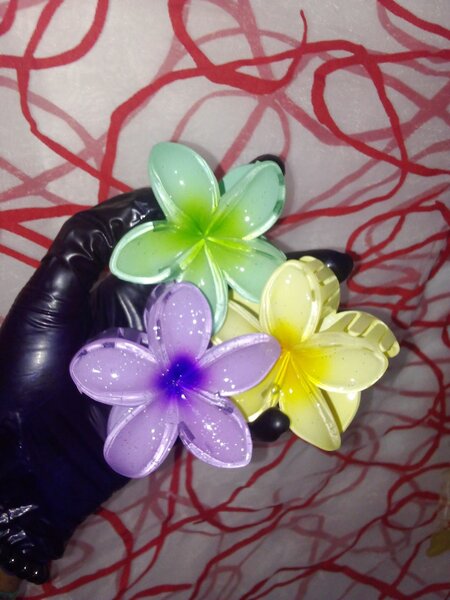 Pinces à cheveux fleurs colorées