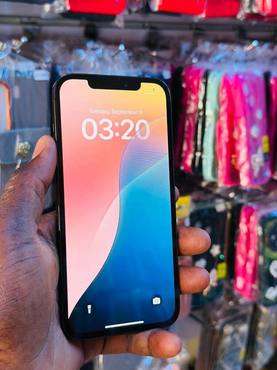 iPhone 12 Pro - 256 Go